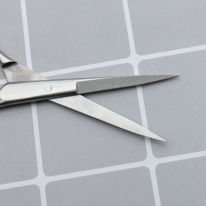 Stainless Steel Beauty Scissors