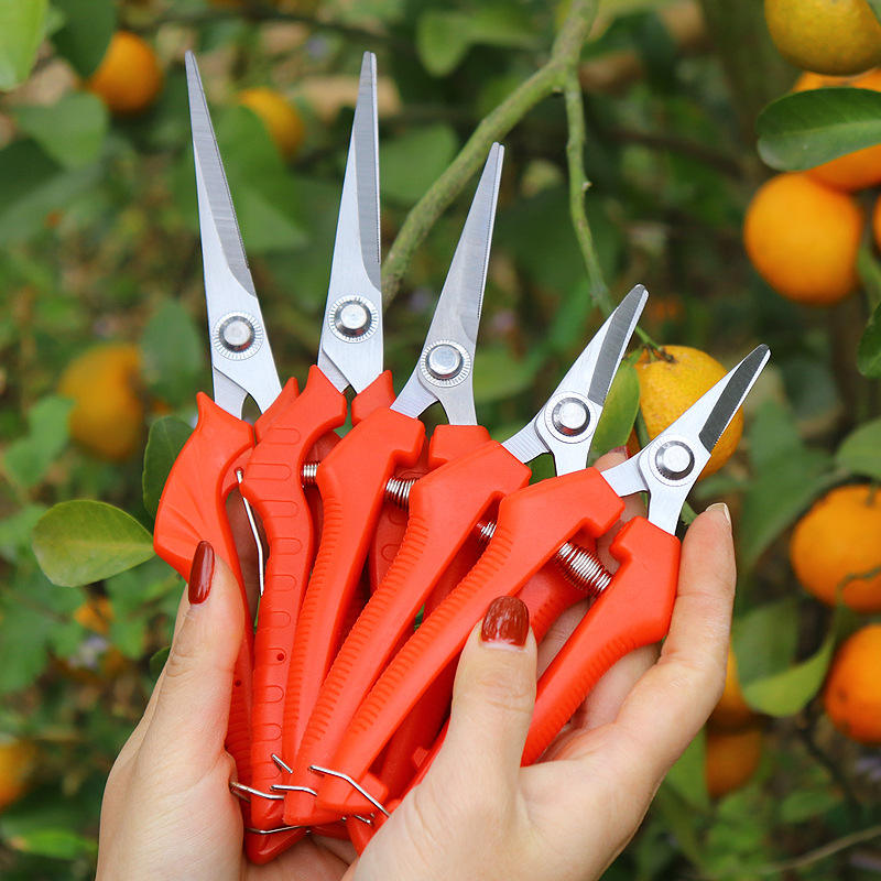 Branch Cutter