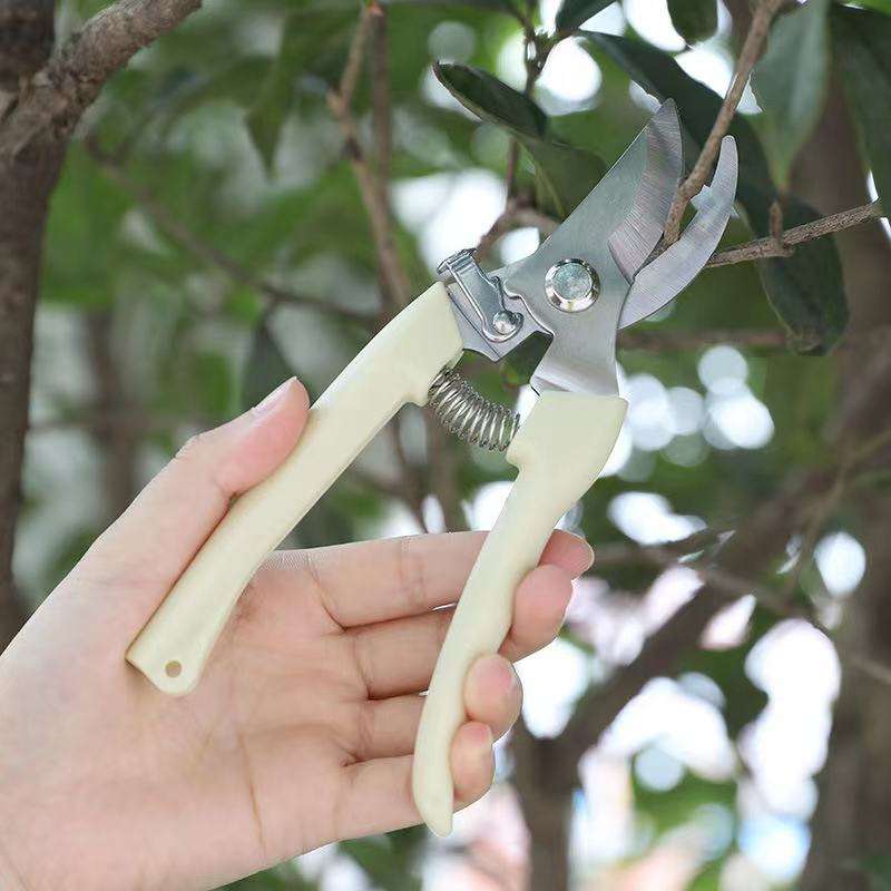 Pruner With Plastic Handle