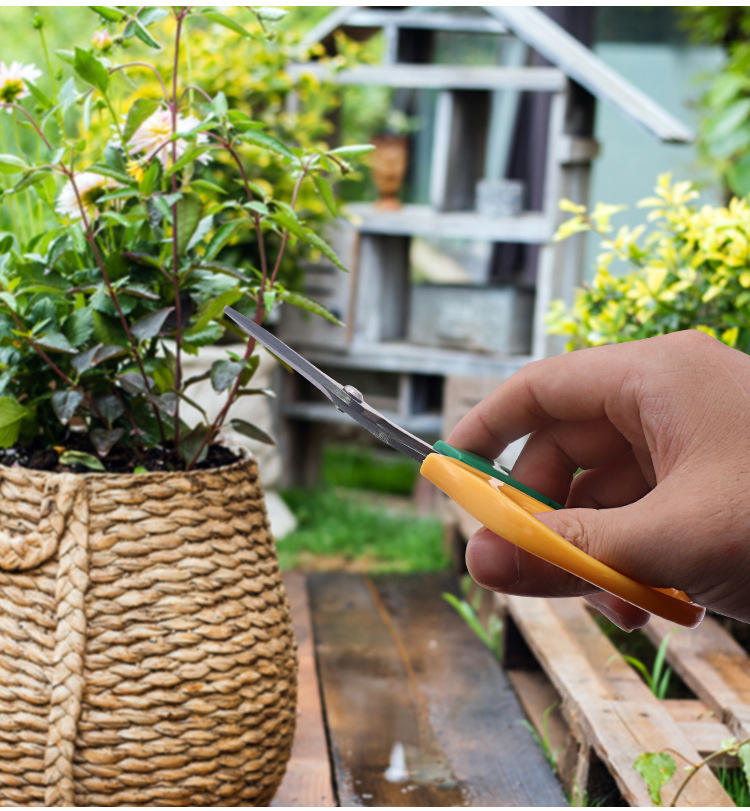 Grapefruit Pruning Shears
