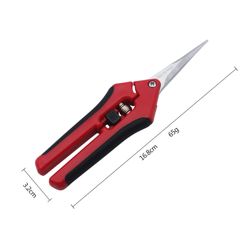 Grape Scissors