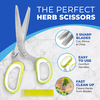 5 Blade Stainless Steel Kitchen Scissors