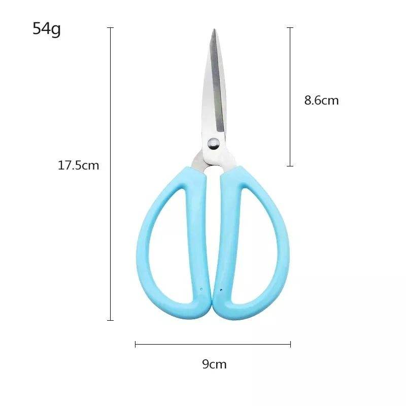 Home Scissors With Blue Plastsic Handle