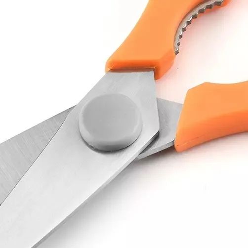 Scissors With Protective Cover