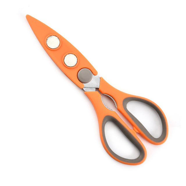 Scissors With Protective Cover