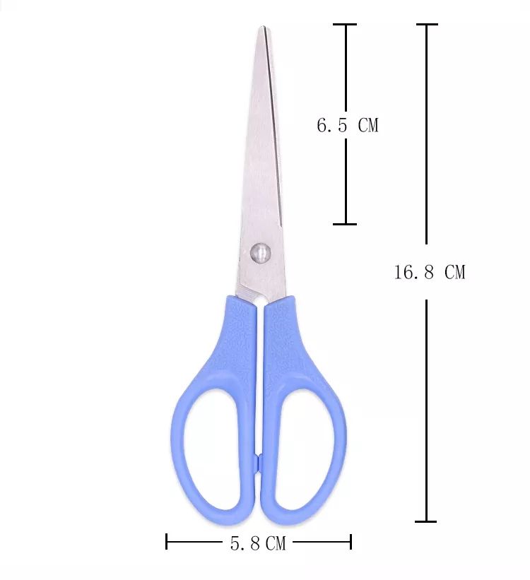 6.5 Inch Stainless Steel Scissors