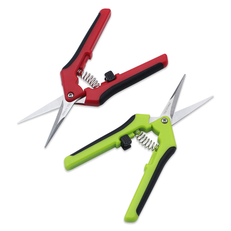 Grape Scissors