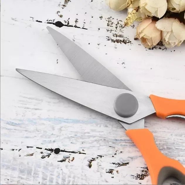 Scissors With Protective Cover