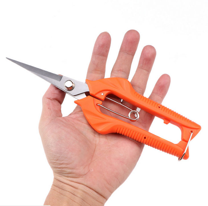 Branch Cutter
