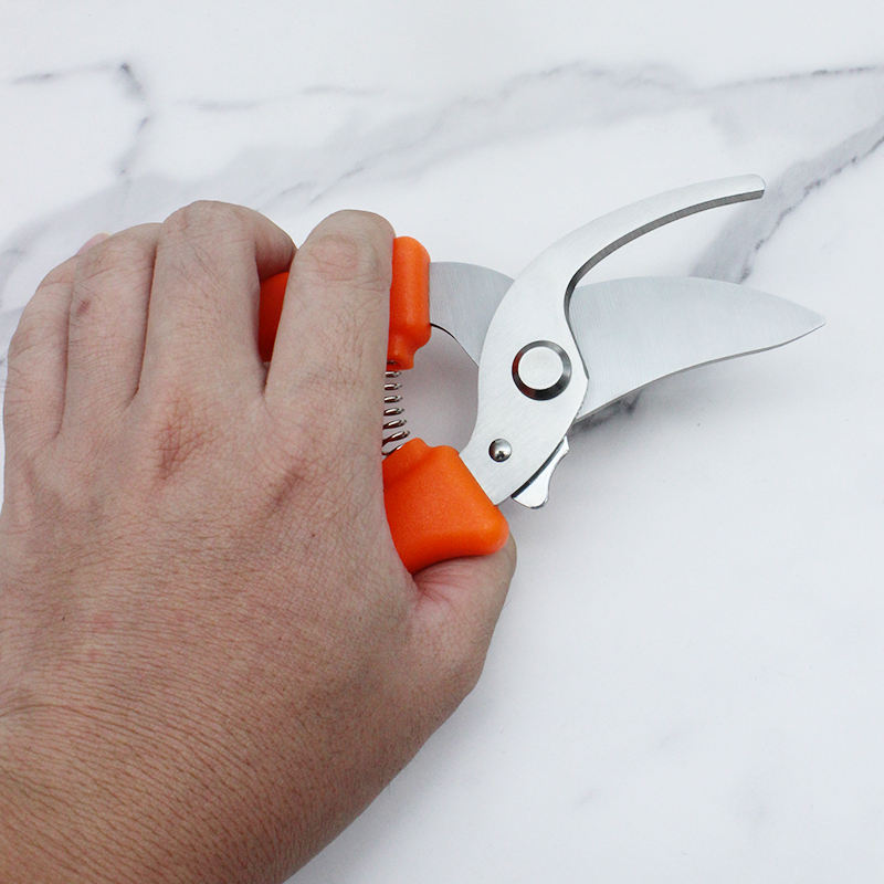Garden Pruner Scissors