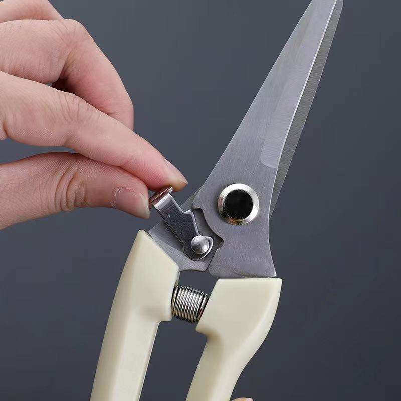 Pruner With Plastic Handle
