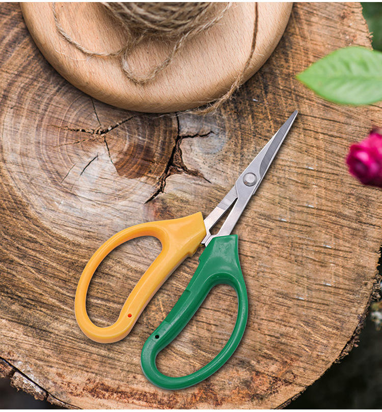Grapefruit Pruning Shears
