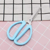 Home Scissors With Blue Plastsic Handle