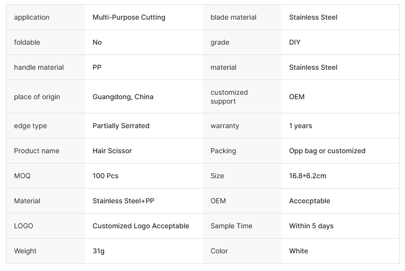 Stainless Steel Hair Cutting Scissors Set