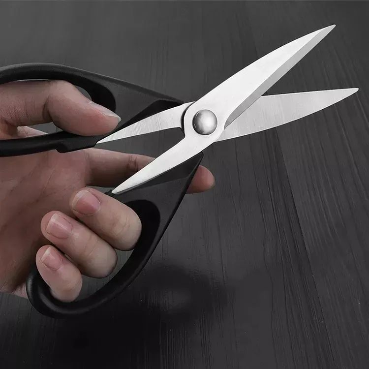 Stainless Steel Food Cutter