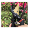 Titanium Garden Pruner