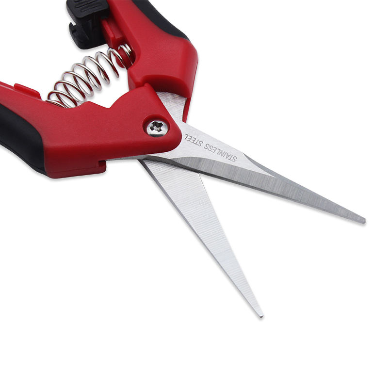 Grape Scissors