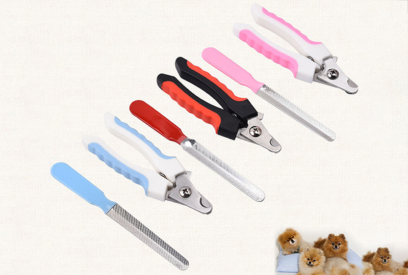 Pet scissors