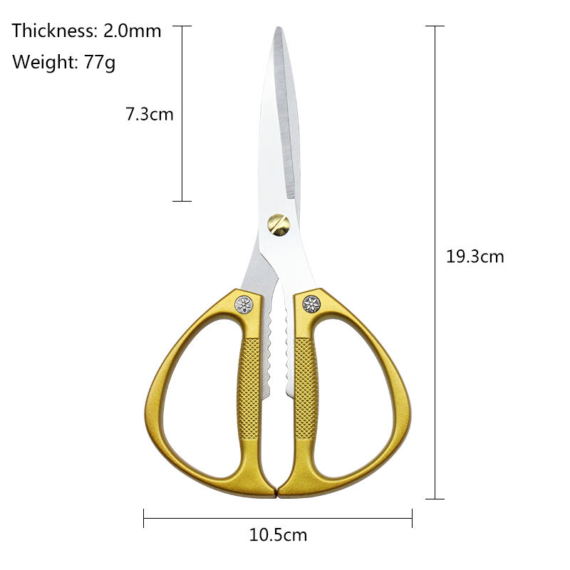 Versatile Stainless Steel Kitchen Shears