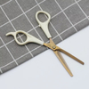 Stainless Steel Hair Cutting Scissors Set