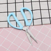 Home Scissors With Blue Plastsic Handle