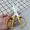 Versatile Stainless Steel Kitchen Shears