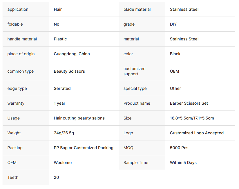 Stylish Hair Cutting Scissors Set