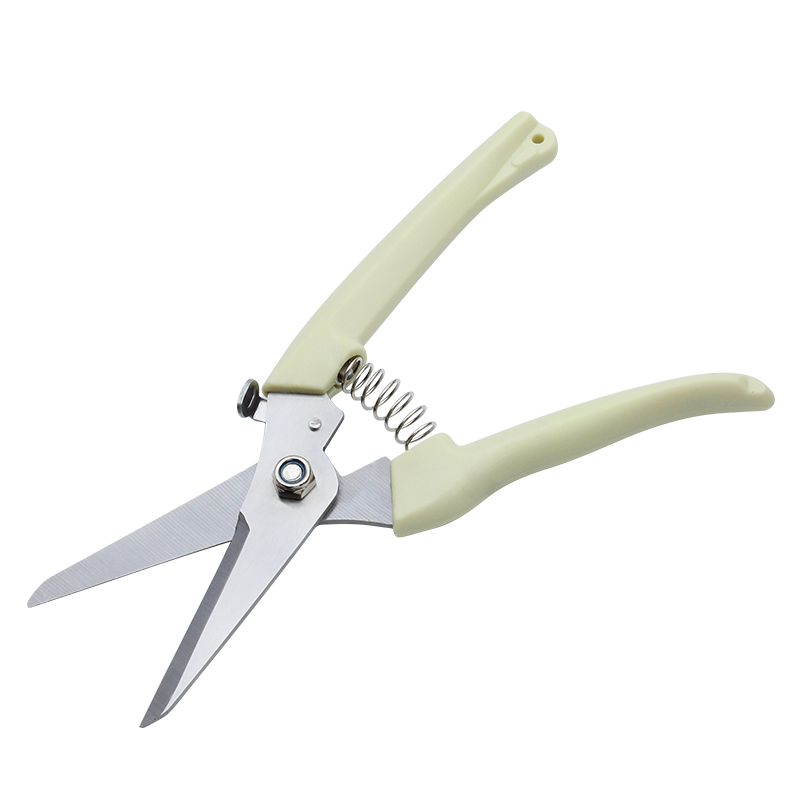 Pruner With Plastic Handle