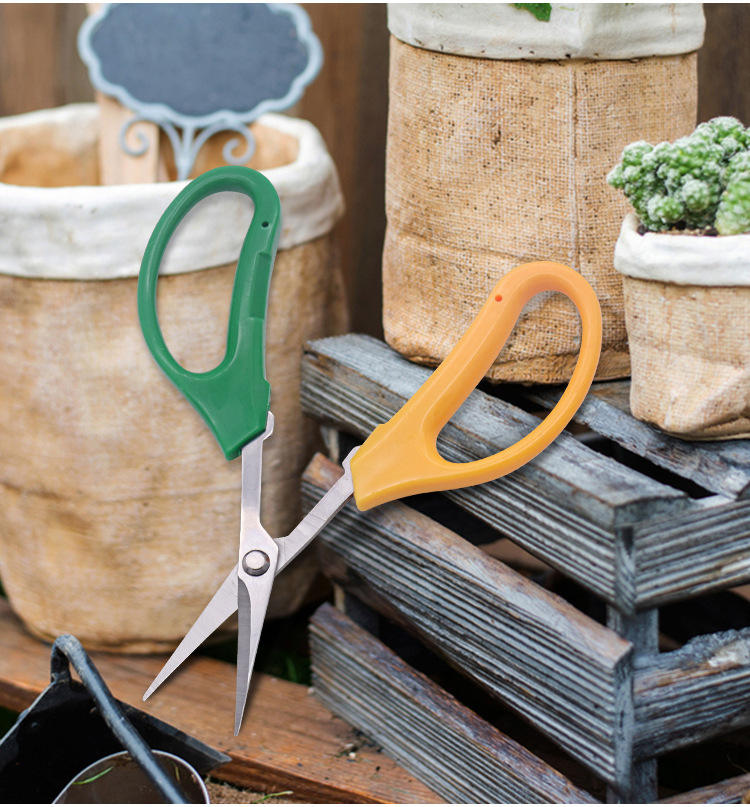 Grapefruit Pruning Shears