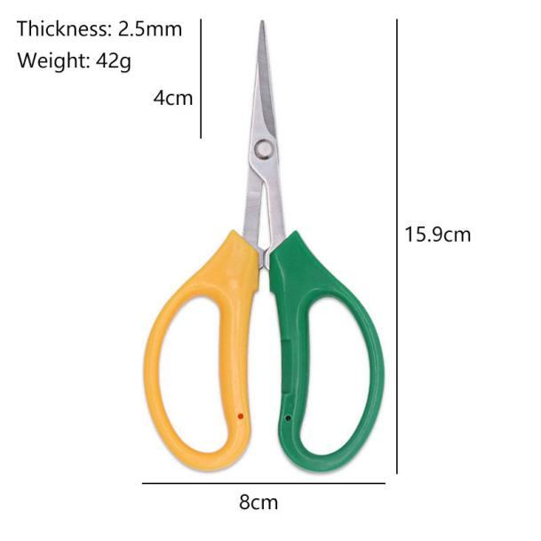 Grapefruit Pruning Shears