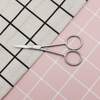 Nail And Eyebrow Scissors