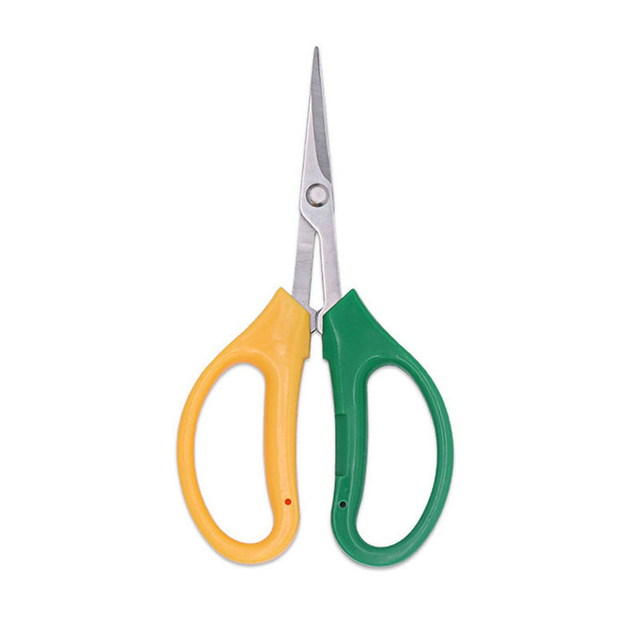 Grapefruit Pruning Shears