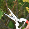 Telescopic Steel Pruning Shears