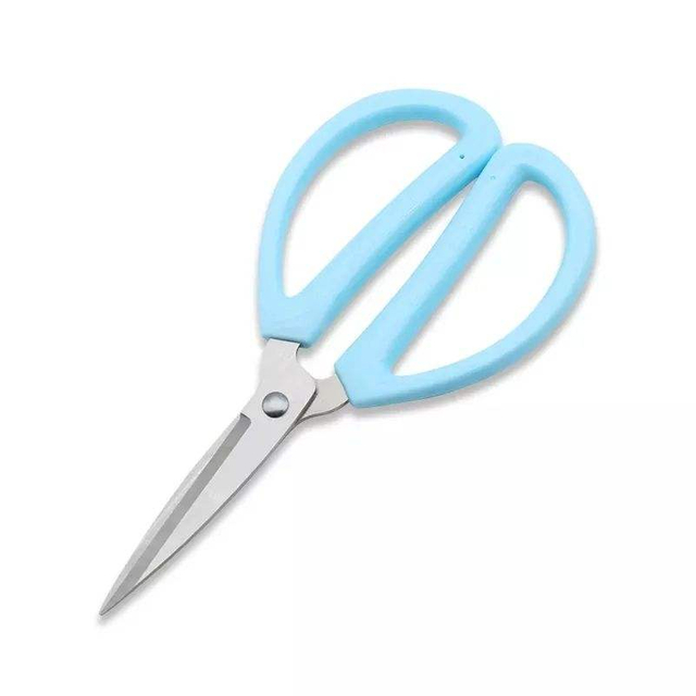 Home Scissors With Blue Plastsic Handle