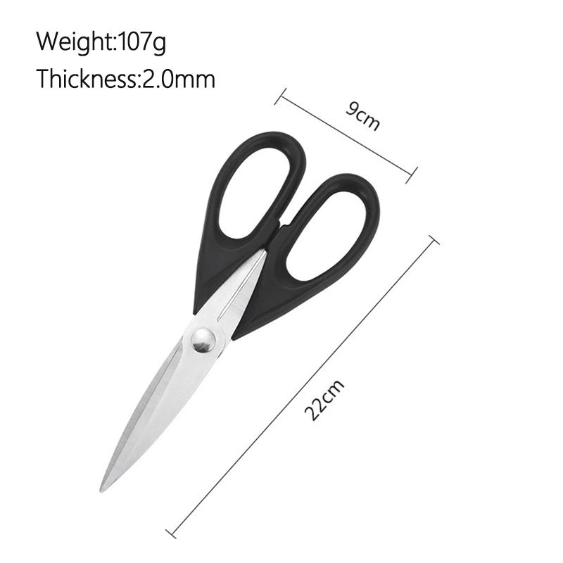 Stainless Steel Food Cutter