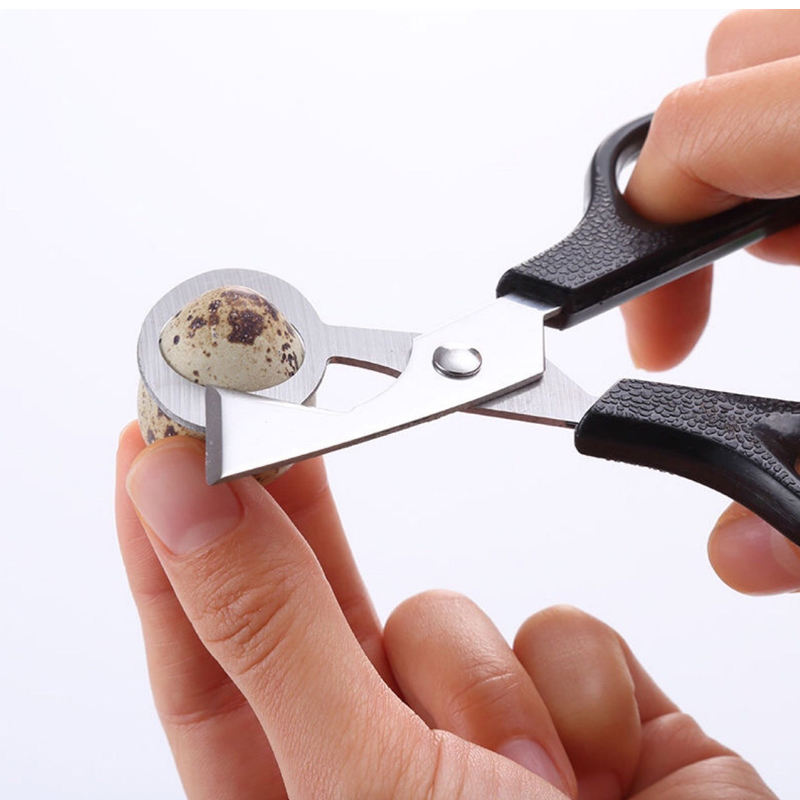 Stainless Steel Quail Egg Cutter